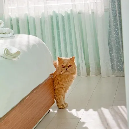 Ξενοδοχείο Midilli