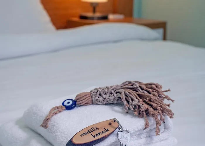 Hotell Midilli *